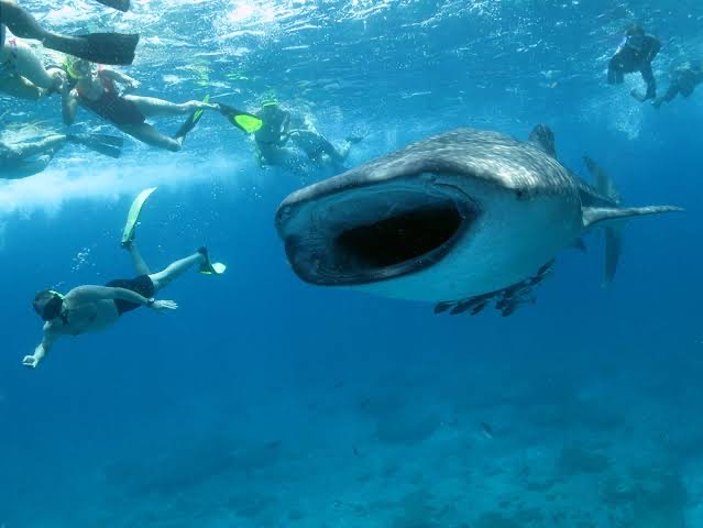 IMG-20250901-WA0022